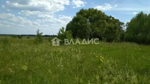 Участок в Владимирская область, Собинский муниципальный округ, д. ...