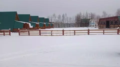 Помещение свободного назначения в Забайкальский край, Читинский район, ...