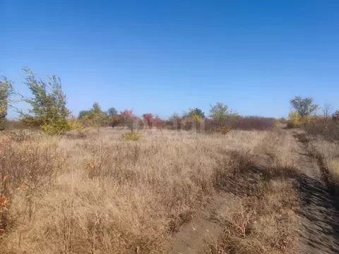 Участок в Воронежская область, Борисоглебск 7-Я СНТ, 67 (15.0 сот.)