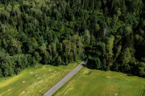 Участок в Московская область, Истра муниципальный округ, д. Дубровское ...