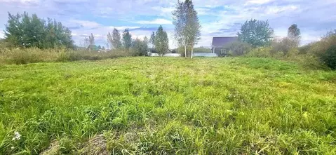 Участок в Новосибирская область, Колыванский район, Вилана садовое ...