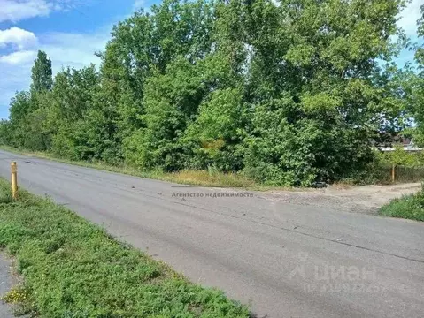 Участок в Белгородская область, Белгородский район, Разумное рп, ...