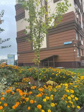 1-комнатная квартира: Лопатино, Сухановская улица, 24 (33.5 м)