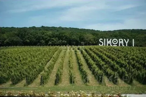 Участок в Краснодарский край, Новороссийск городской округ, ...