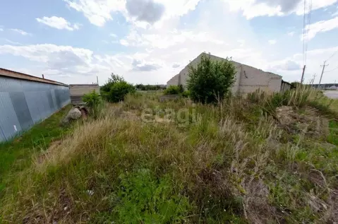 Участок в Курганская область, Шадринский муниципальный округ, с. ...