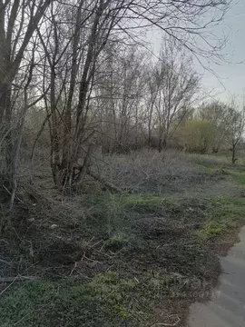 Участок в Саратовская область, Духовницкий район, с. Березовая Лука ...