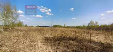 Участок в Рязанская область, Спасский муниципальный округ, с. Сушки ...