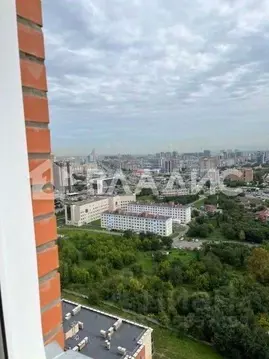 Студия Красноярский край, Красноярск ул. Березина, 82 (36.0 м)