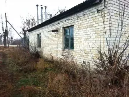 Помещение свободного назначения в Липецкая область, Задонский район, ...