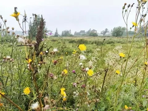 Участок в Омская область, Омский район, Магистральное с/пос, с. ...