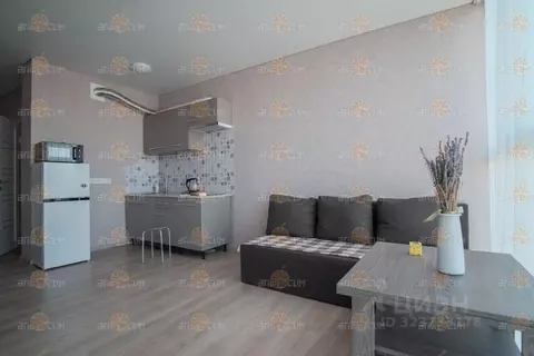 Студия Ставропольский край, Ставрополь ул. Тюльпановая, 12 (26.4 м)