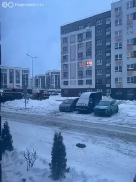 1-комнатная квартира: деревня Глухово, Романовская улица, 19 (31 м)