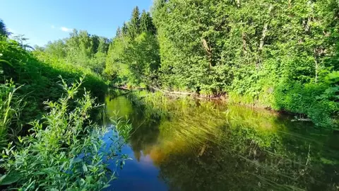 Дом в Костромская область, Костромской район, Караваевское с/пос, ...