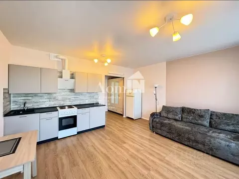 Студия Ленинградская область, Ломоносовский район, Аннинское городское ...