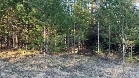 Участок в Татарстан, Казань  (15.0 сот.)