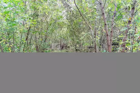 Участок в Кемеровская область, Осинники ул. Нижняя Площадка (9.5 сот.)