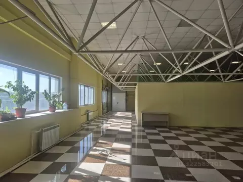 Помещение свободного назначения в Иркутская область, Иркутск ул. Олега ...