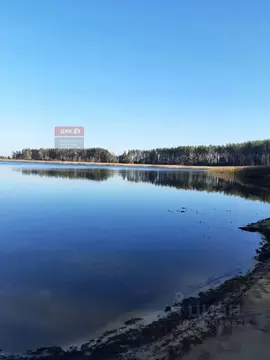 Участок в Рязанская область, Спасский муниципальный округ, д. Ужалье ...