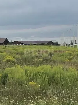 Участок в Брянская область, Брянский район, Добрунское с/пос, с. ...