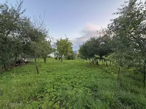 Участок в Нижегородская область, Кстово Ялта СНТ, 114 (5.05 сот.)