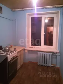 1-к кв. Санкт-Петербург Челябинская ул., 49 (31.3 м)