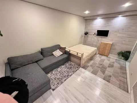 1-к кв. Санкт-Петербург 1-я Никитинская ул., 7 (20.0 м)