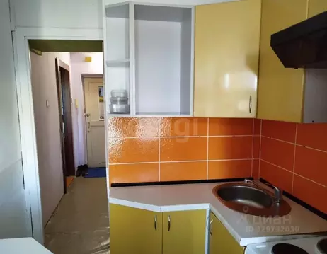 1-к кв. Алтайский край, Бийск Ленинградская ул., 33 (29.7 м)