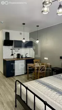 Квартира-студия: Санкт-Петербург, улица Салова, 61 (24.9 м)