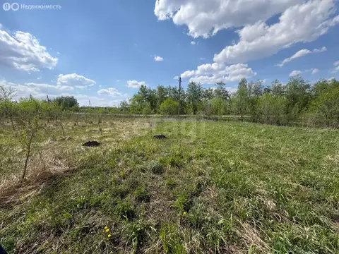 Участок в село Хвощеватка, Ореховая улица (668 м)
