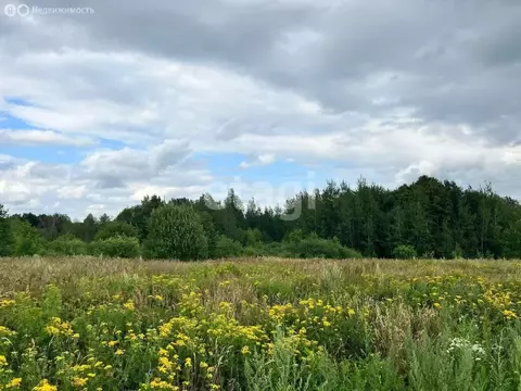 Участок в Республика Мордовия, городской округ Саранск, рабочий ...