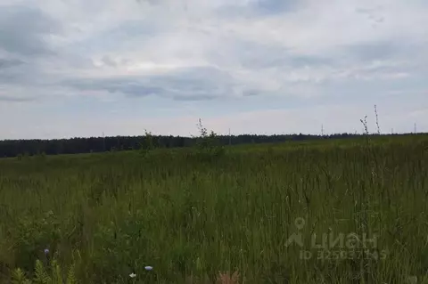 Участок в Московская область, Дмитровский муниципальный округ, д. ...