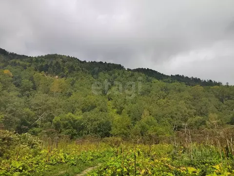 Участок в Сахалинская область, Южно-Сахалинск городской округ, с. ...