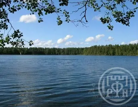 Участок в Ленинградская область, Выборгский район, Каменногорское ...