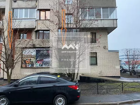 Помещение свободного назначения в Санкт-Петербург Ириновский просп., ...