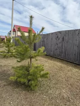 Дом в Иркутская область, Иркутский муниципальный округ, д. Грановщина ...