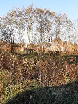 Участок в Псковская область, Псковский район, Ершовская волость, д. ...