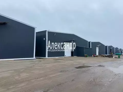 Склад в Ленинградская область, Колтуши Всеволожский район, проезд ...