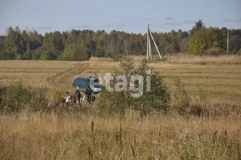 Участок в Вологодская область, Грязовецкий муниципальный округ, ...