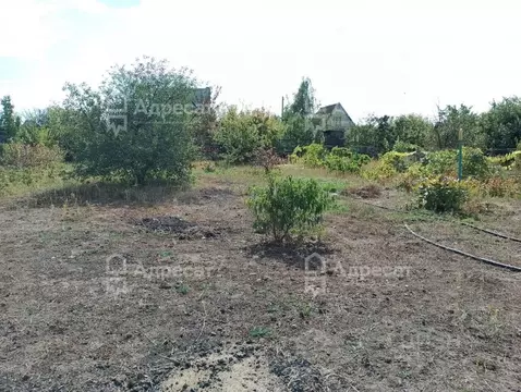 Участок в Волгоградская область, Волгоград Лесник-2 СНТ,  (6.0 сот.)