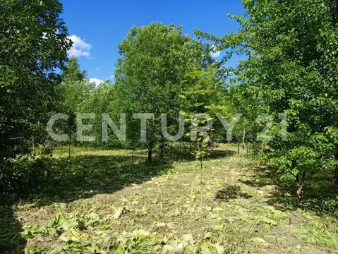 Участок в Калужская область, Малоярославецкий муниципальный округ, ...