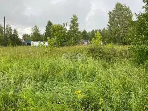 Участок в Новосибирская область, Колыванский район, Обские Просторы ...