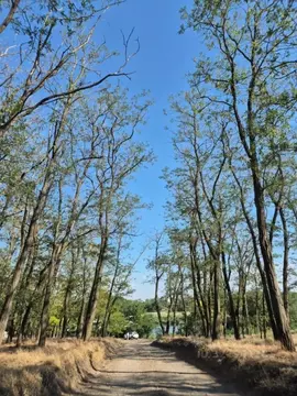 Участок в Ростовская область, Ростов-на-Дону 3-я Эстафетная ул., 12 ...