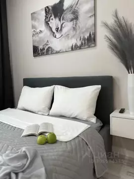 Студия Мордовия, Саранск ул. Короленко, 7 (31.0 м)