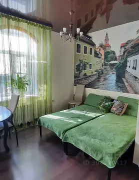 Студия Псковская область, Псков ул. Некрасова, 13 (33.0 м)