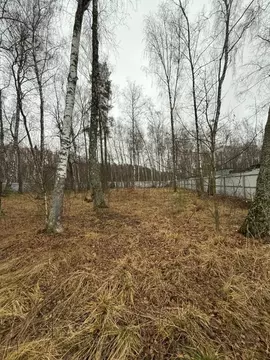 Продается участок в ДНТ Дубки Плюс