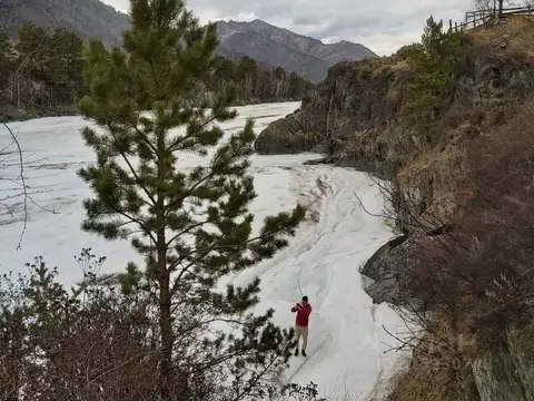 Участок в Алтай, Чемальский район, с. Чемал Катунская ул., 42 (17.7 ...
