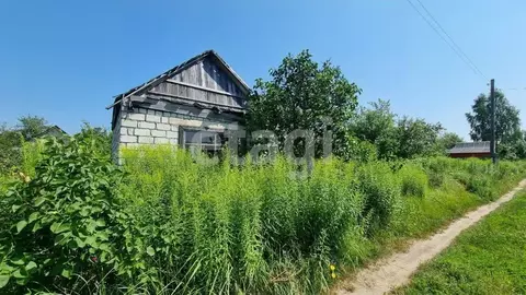 Дом в Брянская область, Брянский район, Чернетовское с/пос, Иволга-5 ...