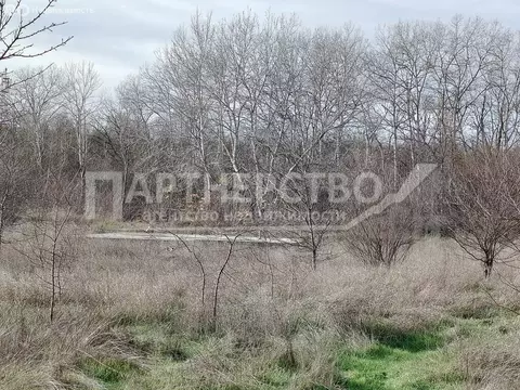 Участок в Абинск, Сургутская улица (8 м)