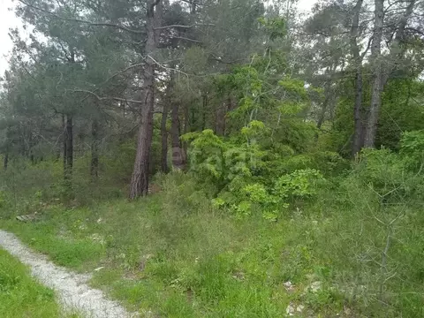 Участок в Краснодарский край, Геленджик  (16.0 сот.)