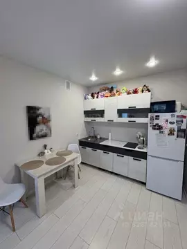 Студия Башкортостан, Уфа ул. Асхата Мирзагитова, 10/1 (26.1 м)